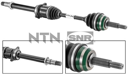 SNR DK61.001 Albero...