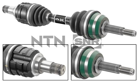 SNR DK61.002 Albero...