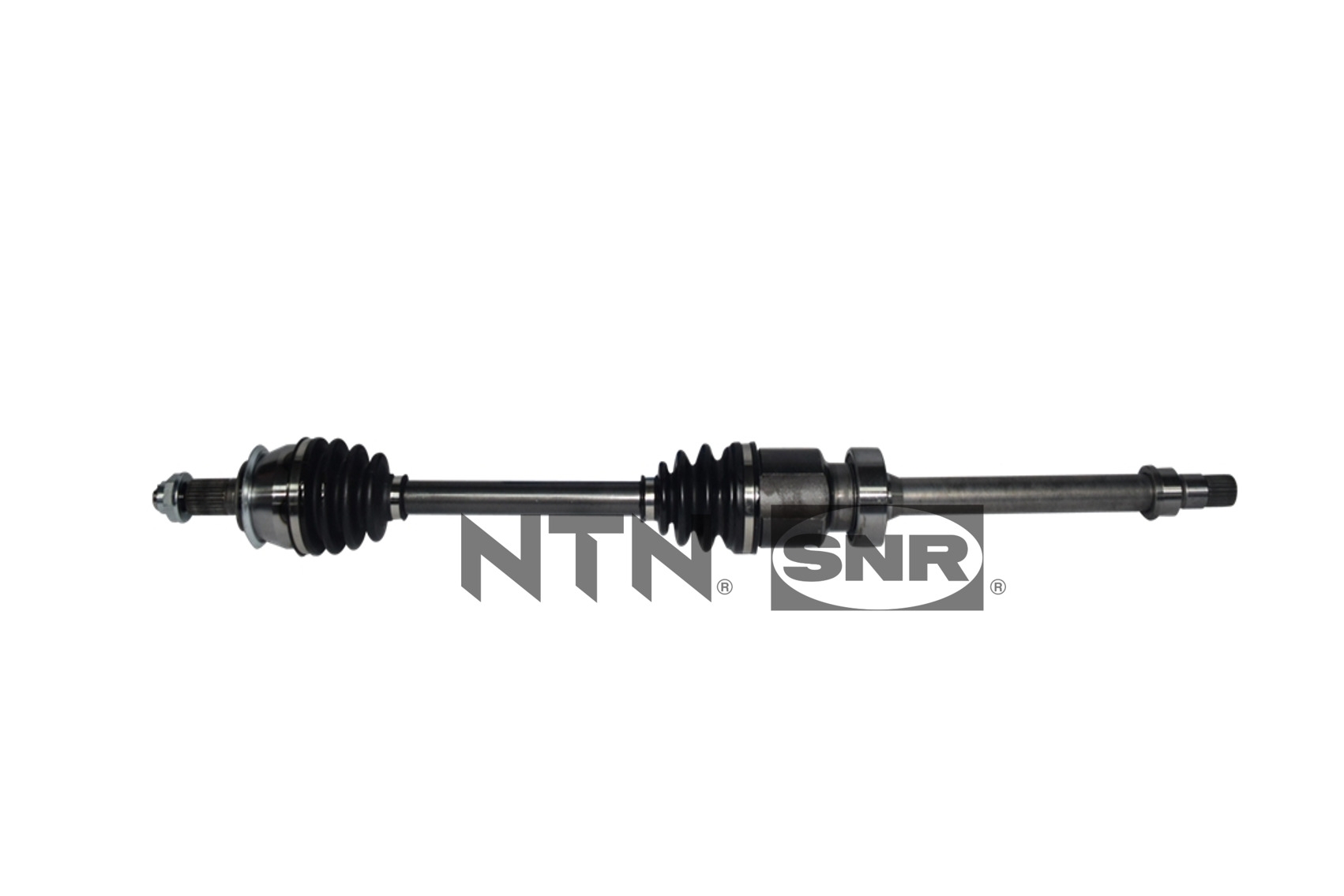 SNR DK62.001 Albero...
