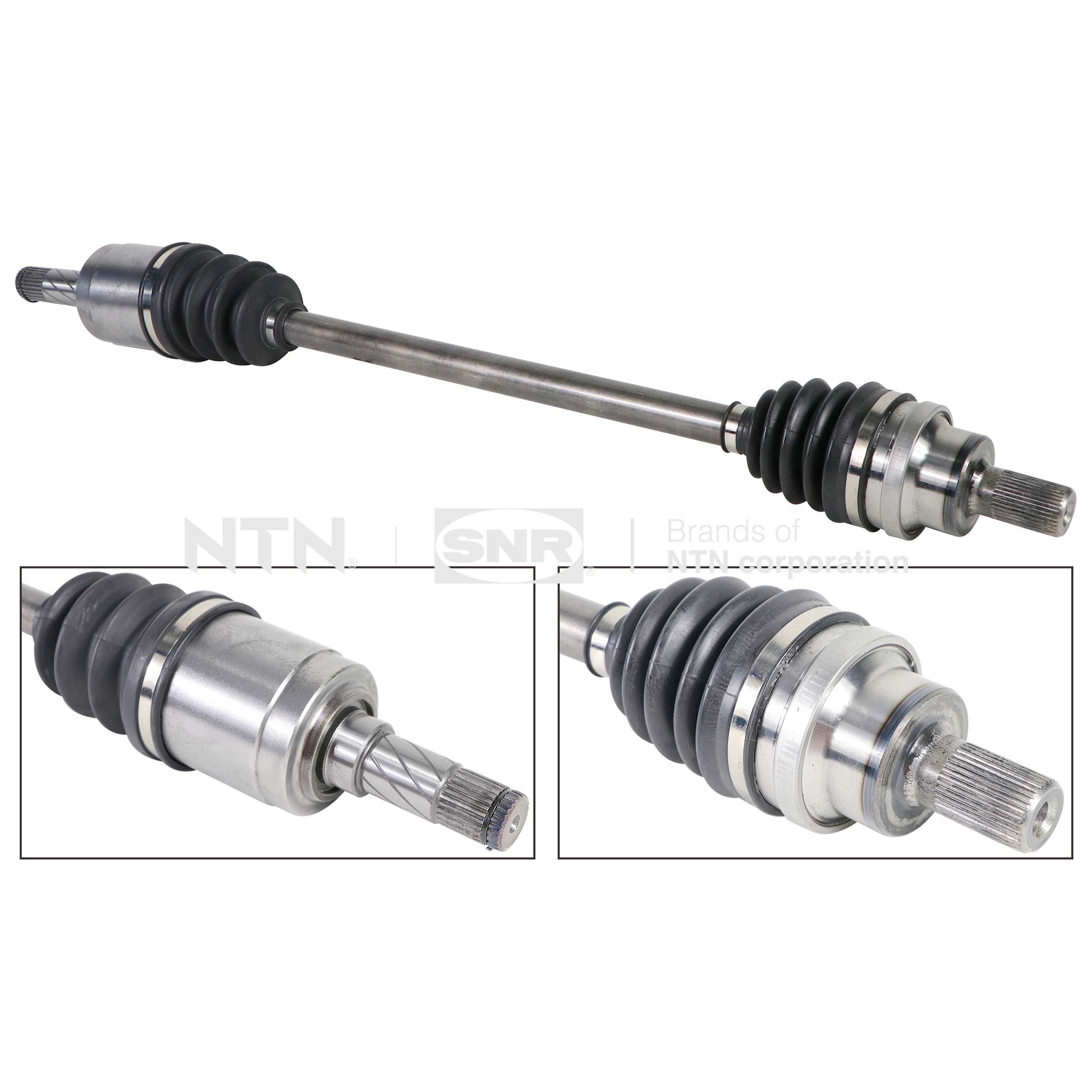 SNR DK65.002 Albero...