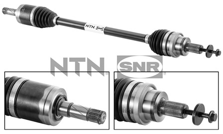 SNR DK65.004 Albero...