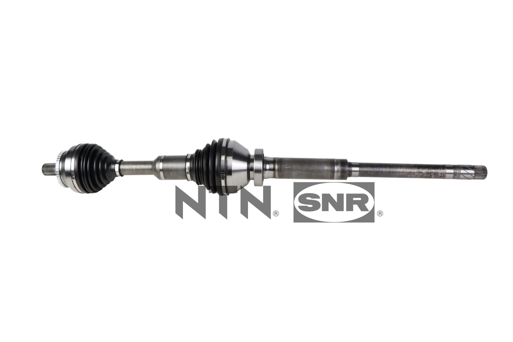 SNR DK65.006 Albero...