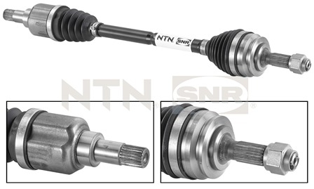 SNR DK66.001 Albero...