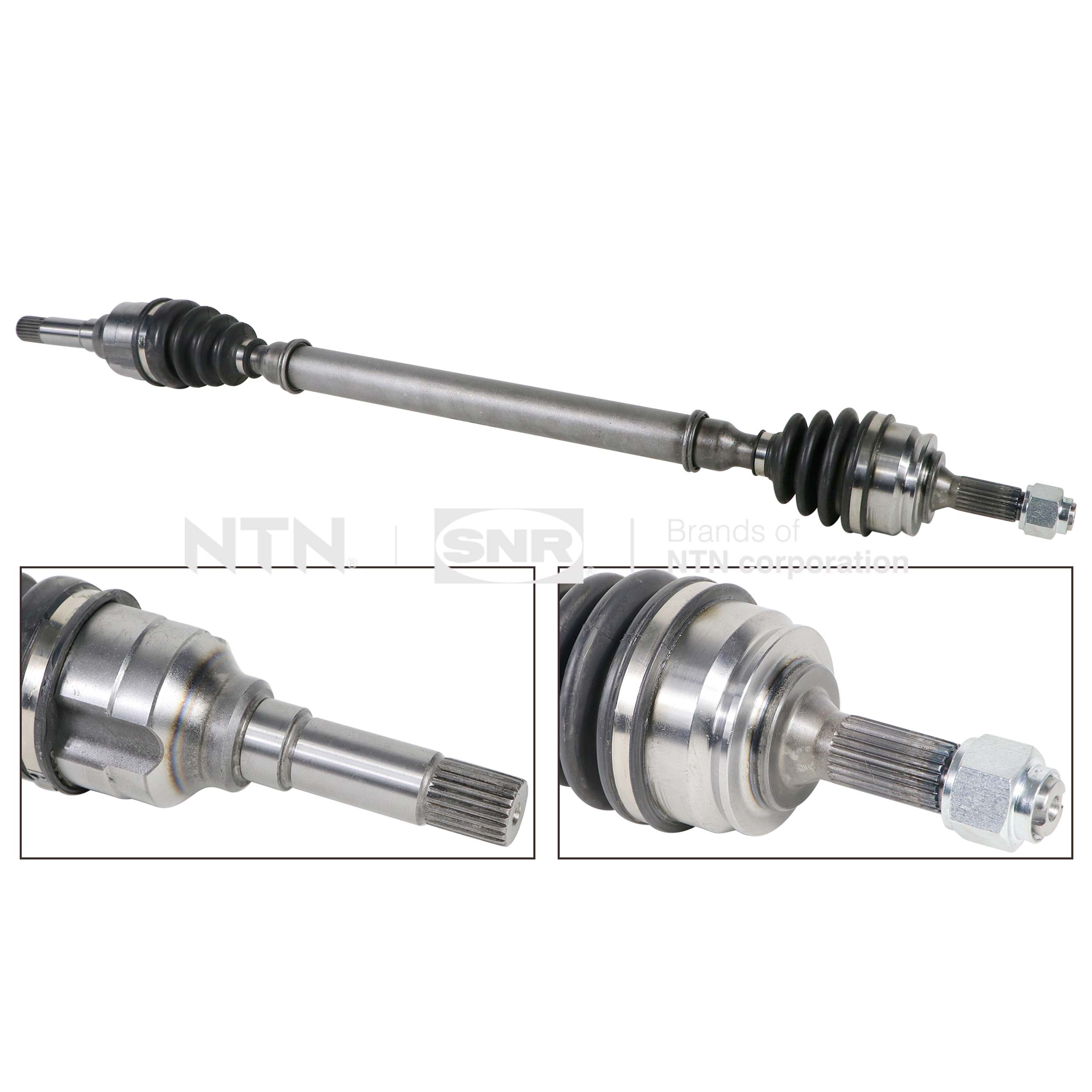 SNR DK66.002 Albero...