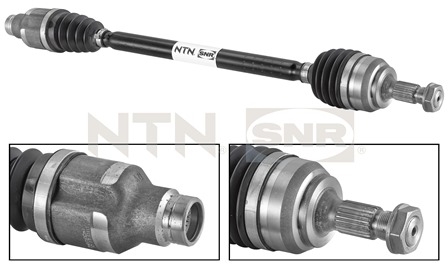 SNR DK66.003 Albero...