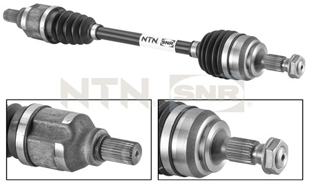 SNR DK66.004 Albero...