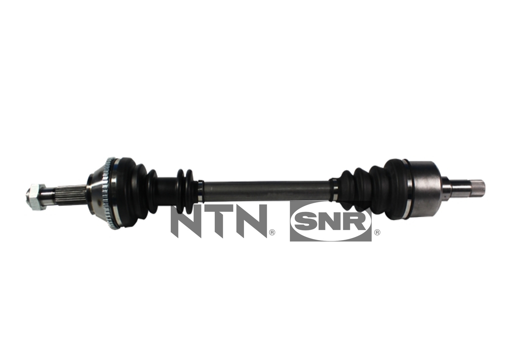 SNR DK66.005 Albero...