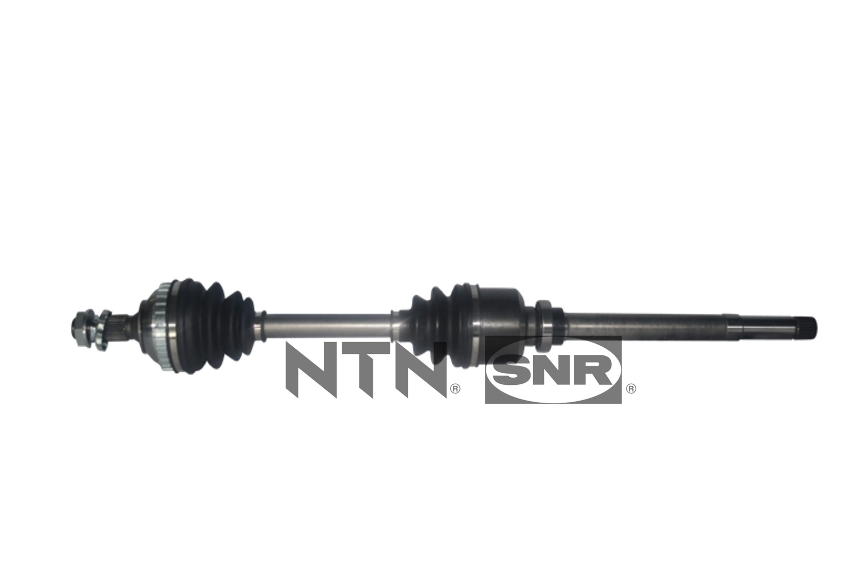 SNR DK66.006 Albero...