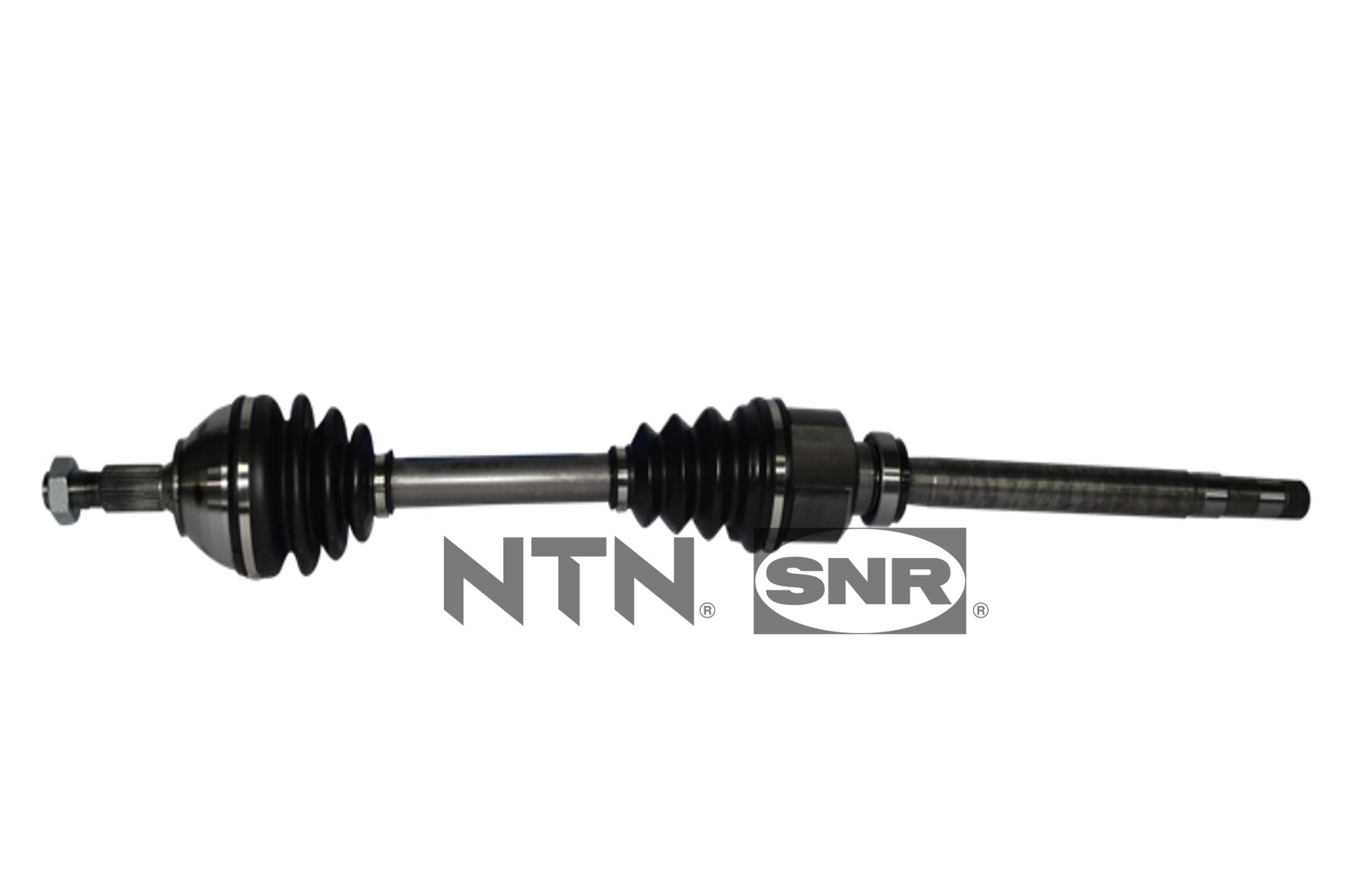 SNR DK66.008 Albero...