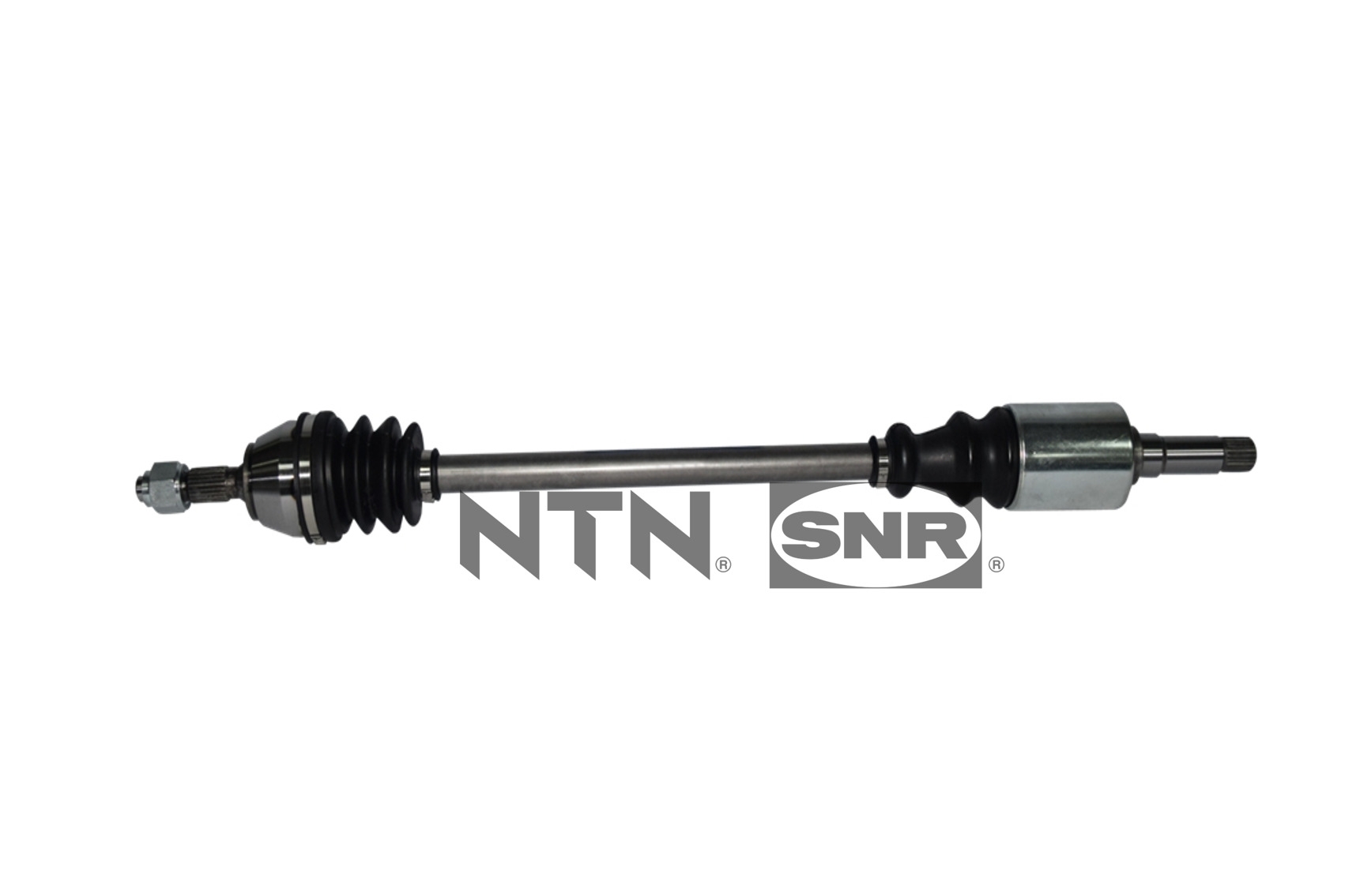 SNR DK66.009 Albero...