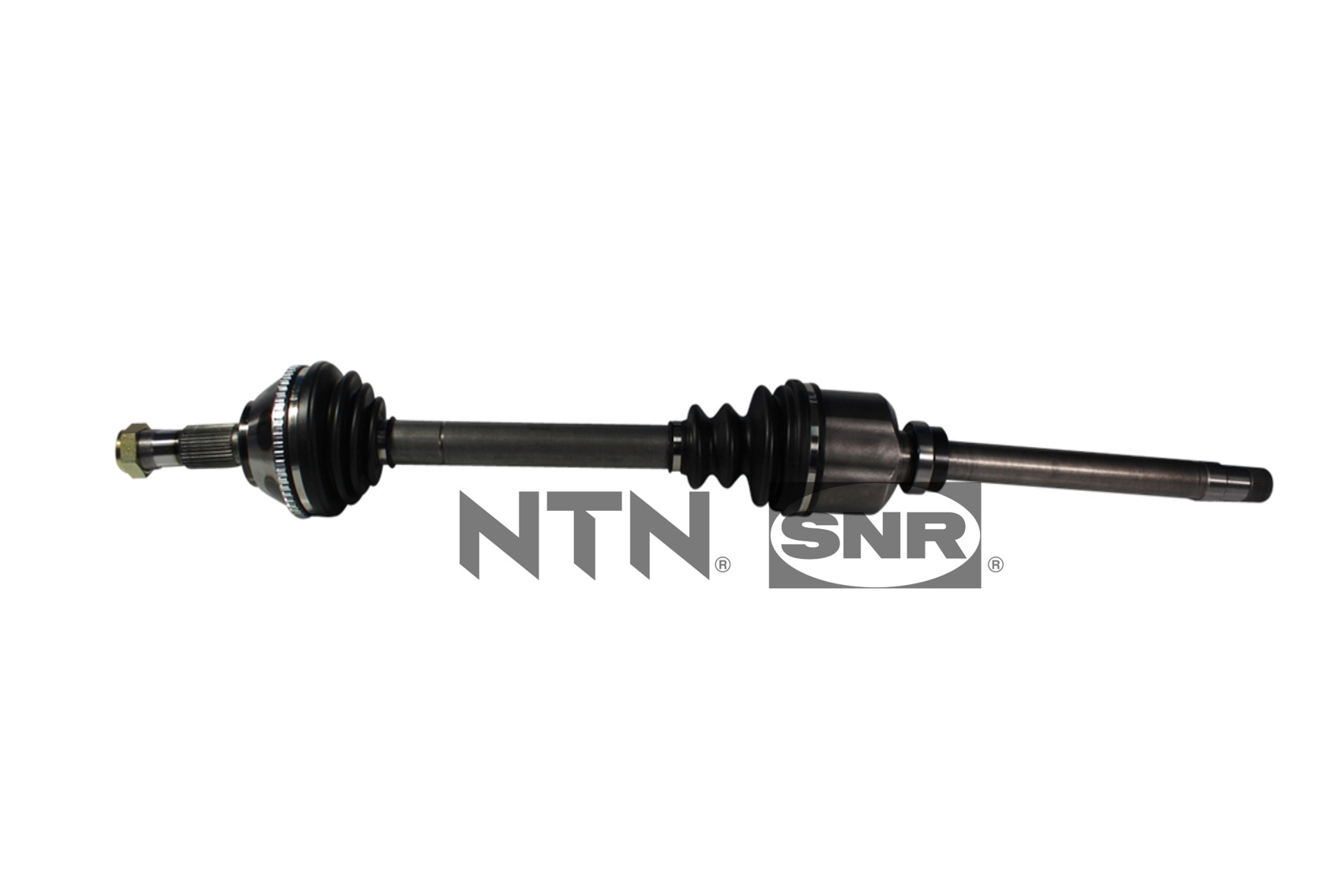 SNR DK66.010 Albero...