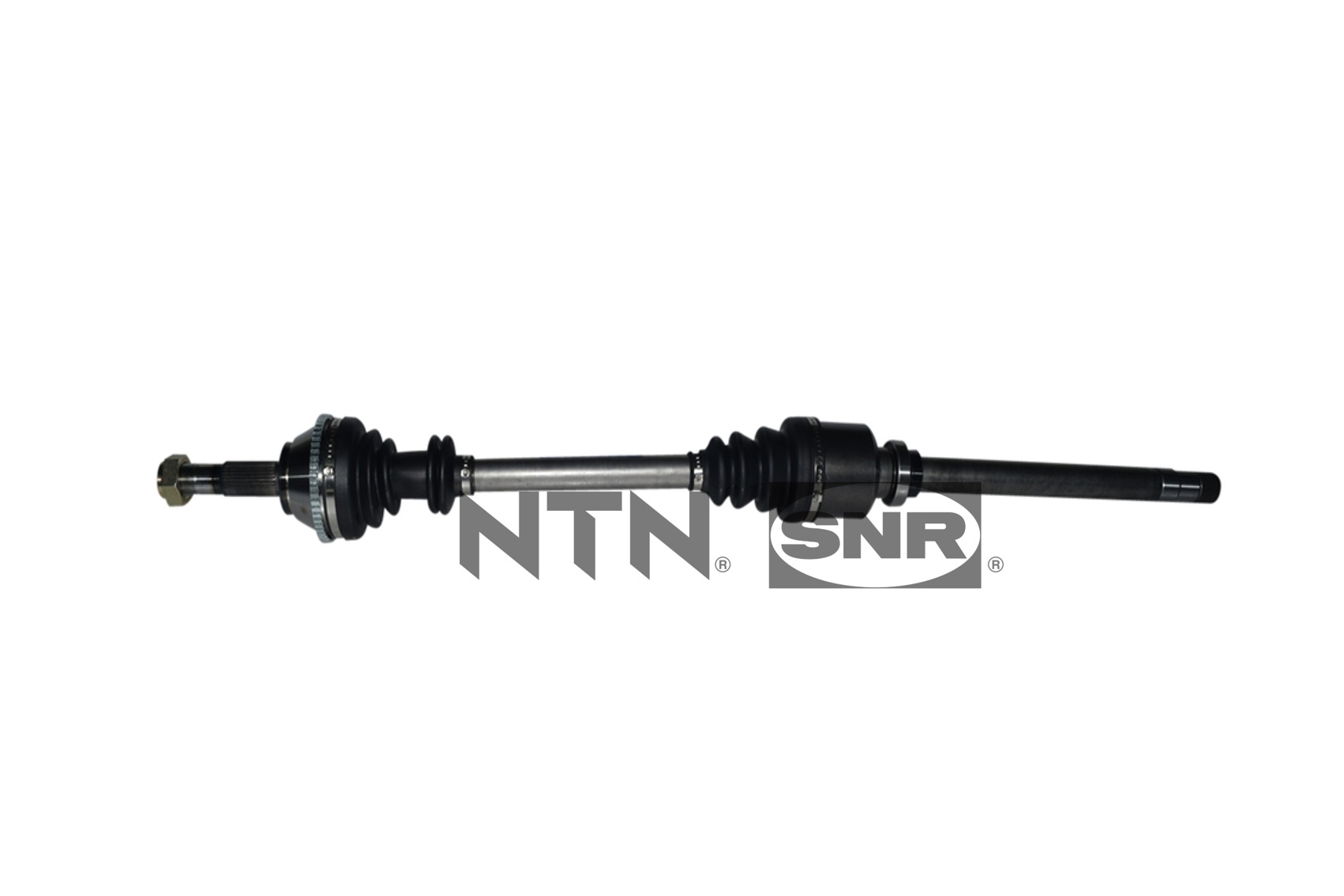 SNR DK66.011 Albero...