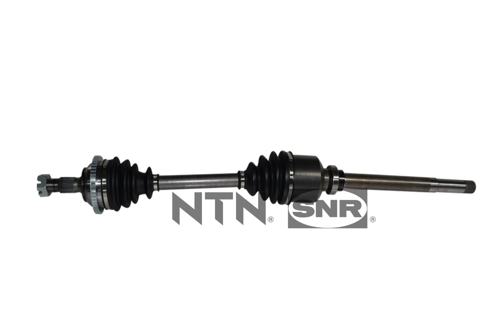 SNR DK66.016 Albero...