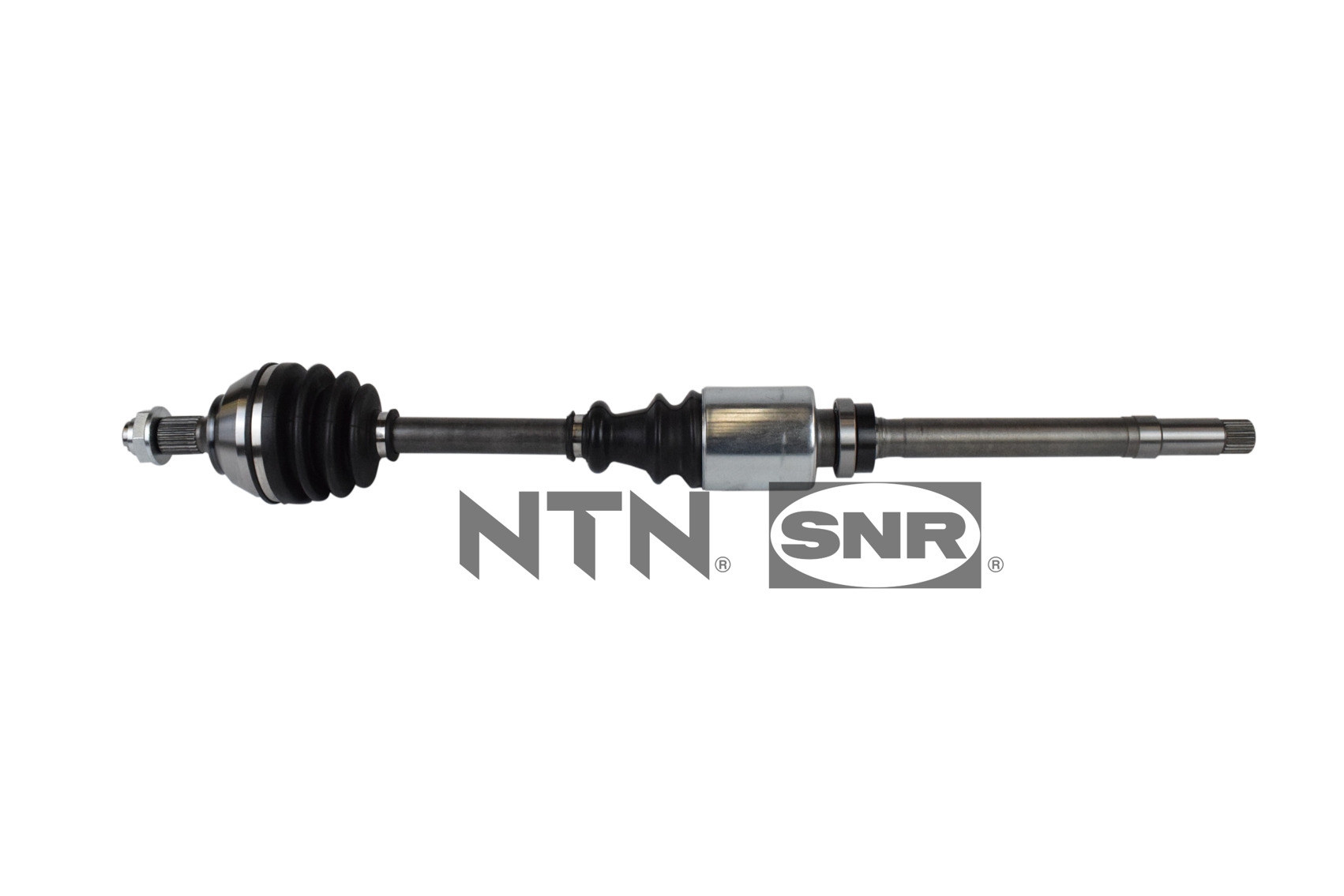SNR DK66.019 Albero...