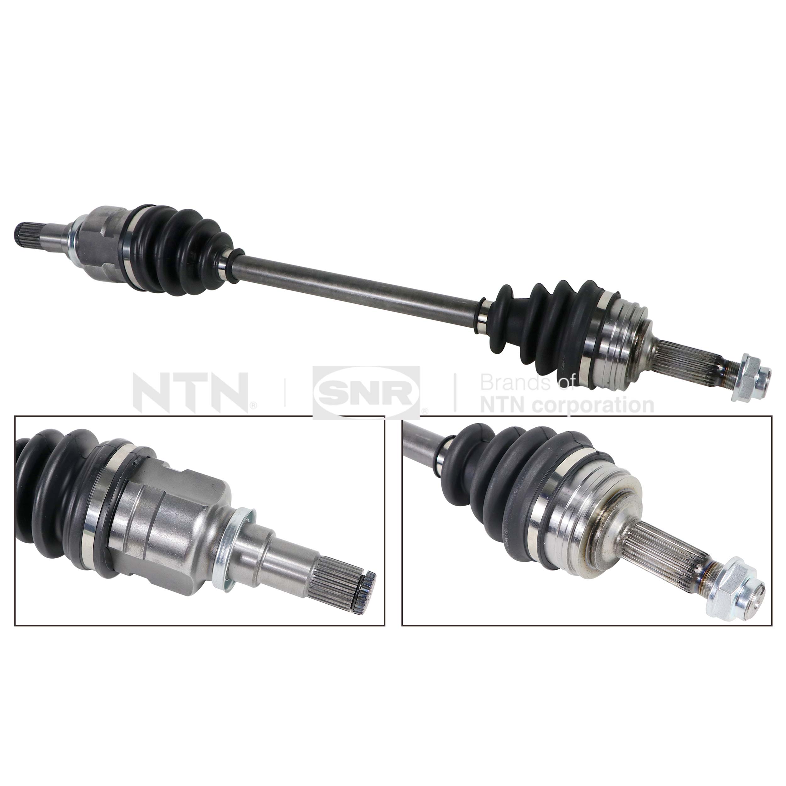 SNR DK66.023 Albero...
