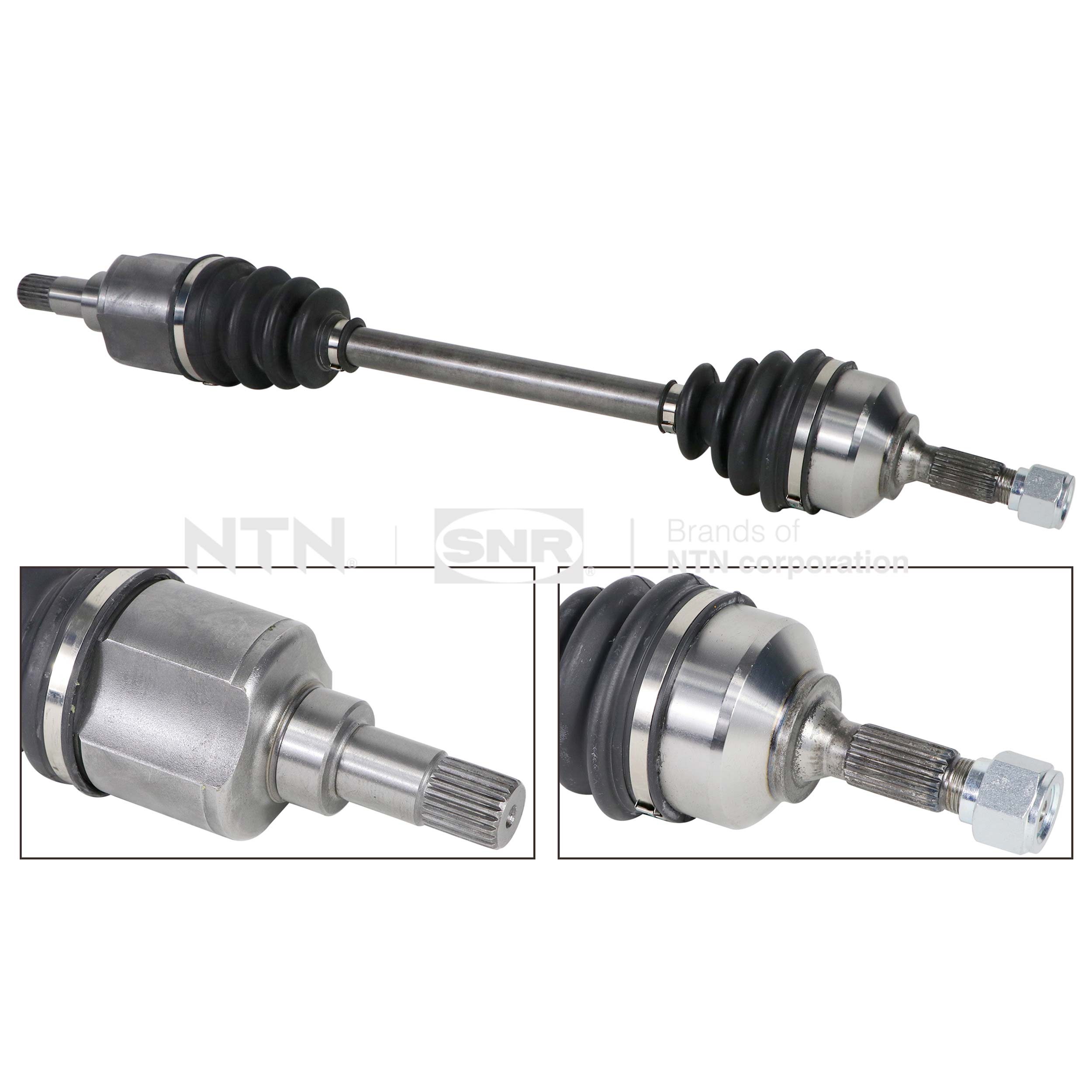 SNR DK66.024 Albero...