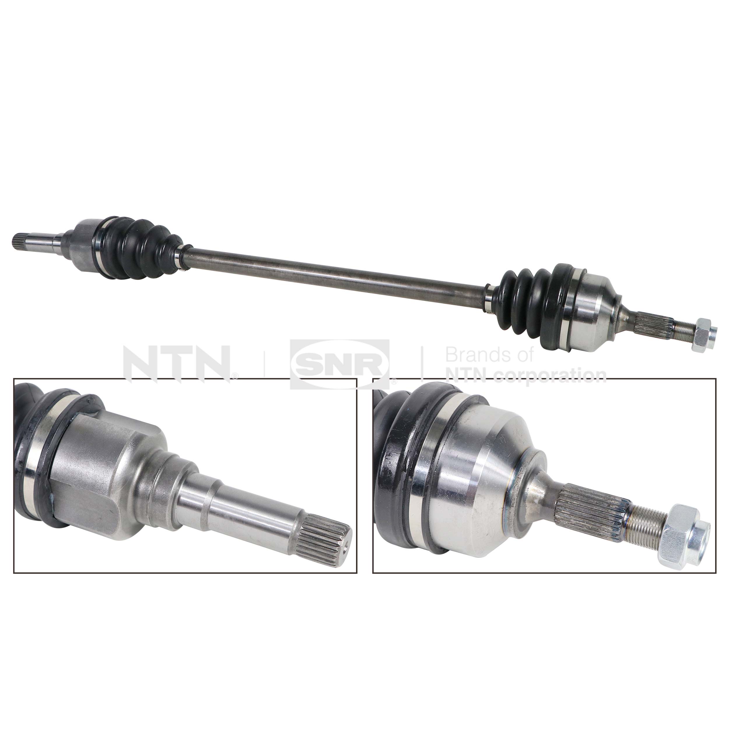 SNR DK66.026 Albero...