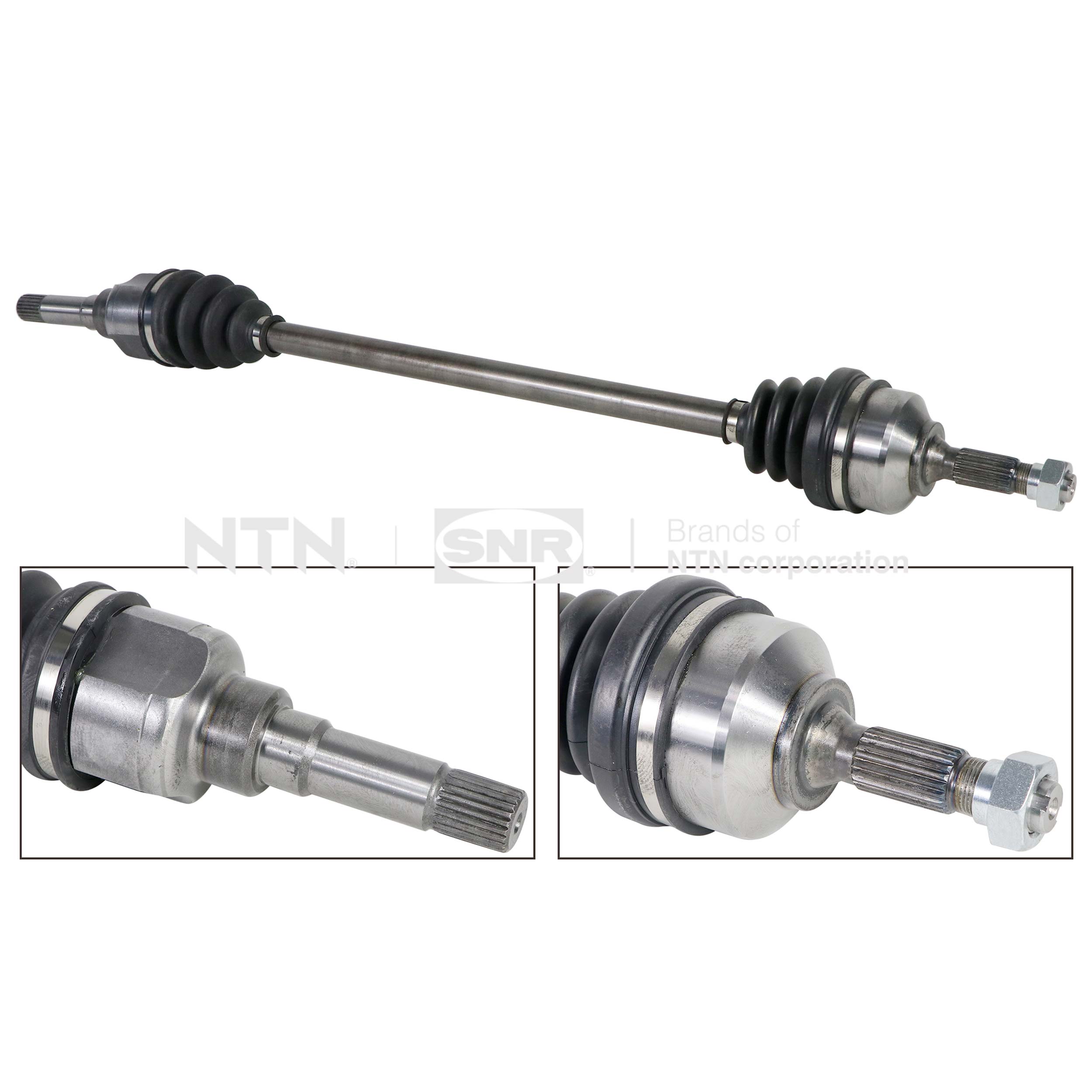 SNR DK66.028 Albero...