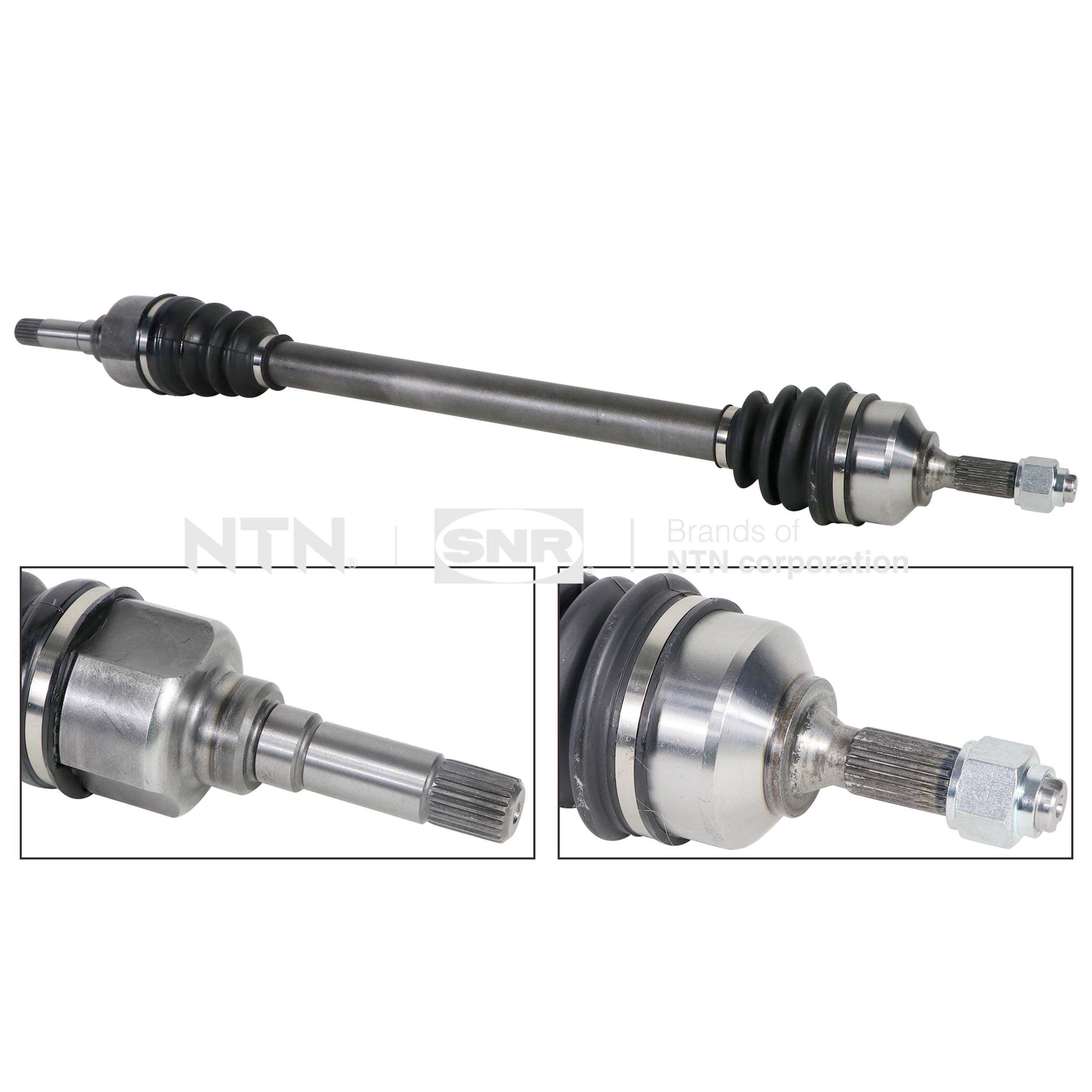 SNR DK66.033 Albero...
