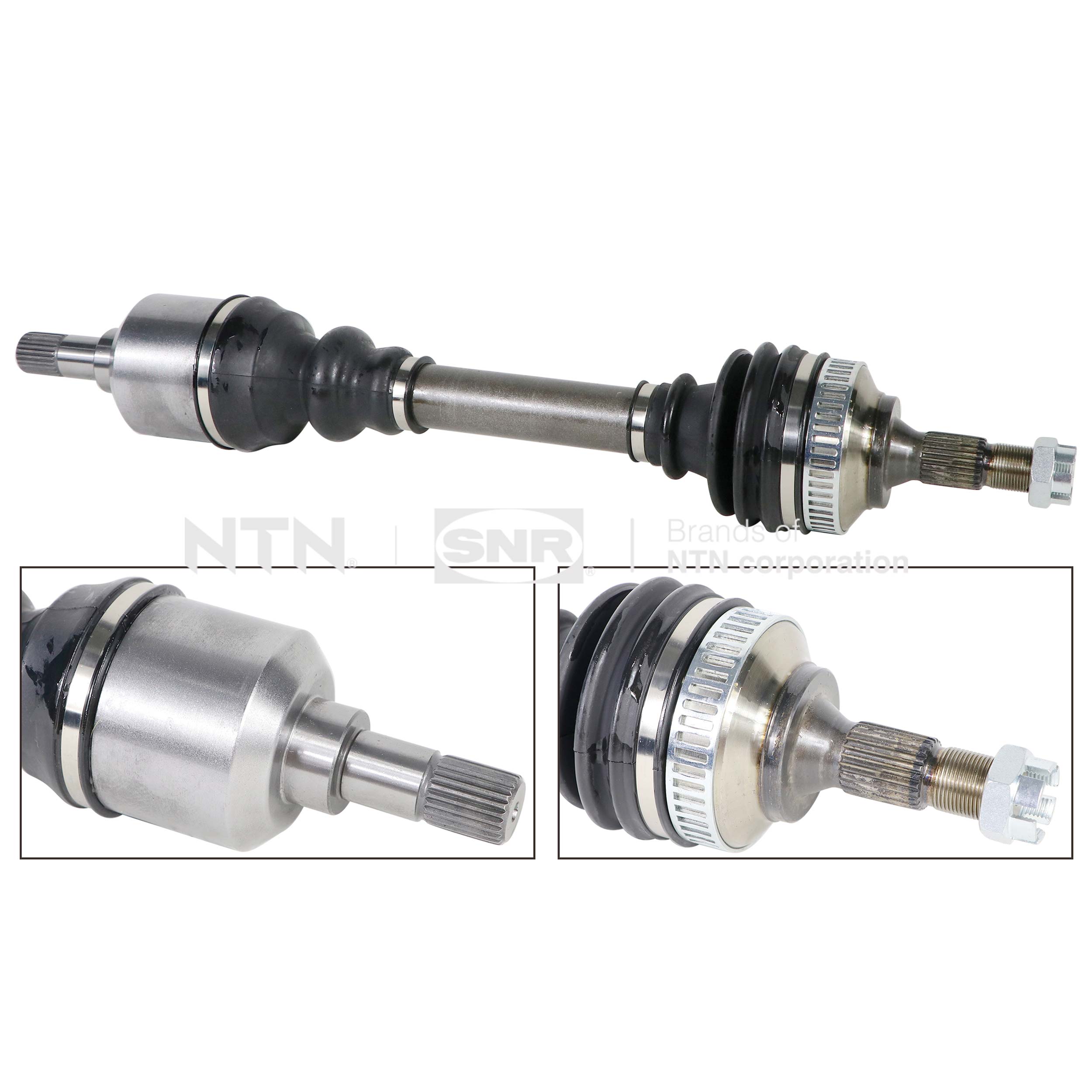 SNR DK66.035 Albero...