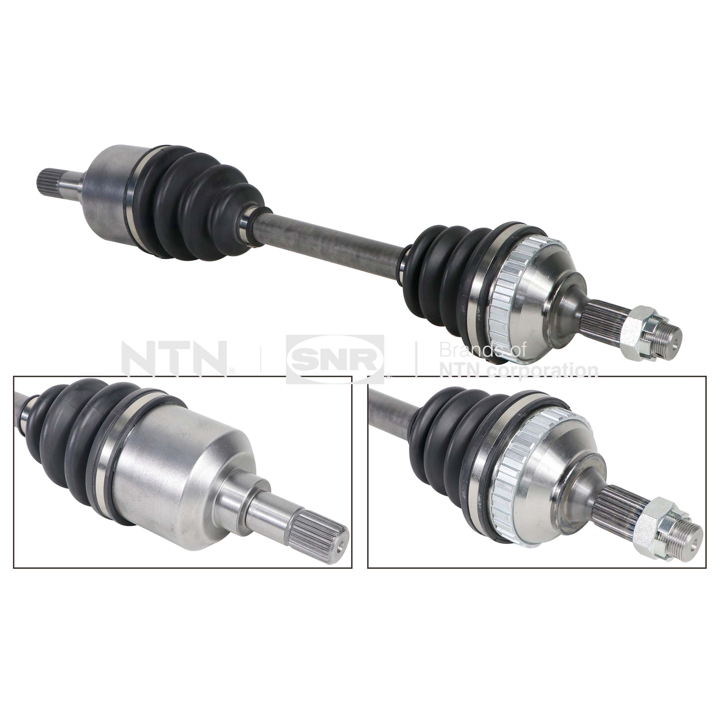 SNR DK66.036 Albero...