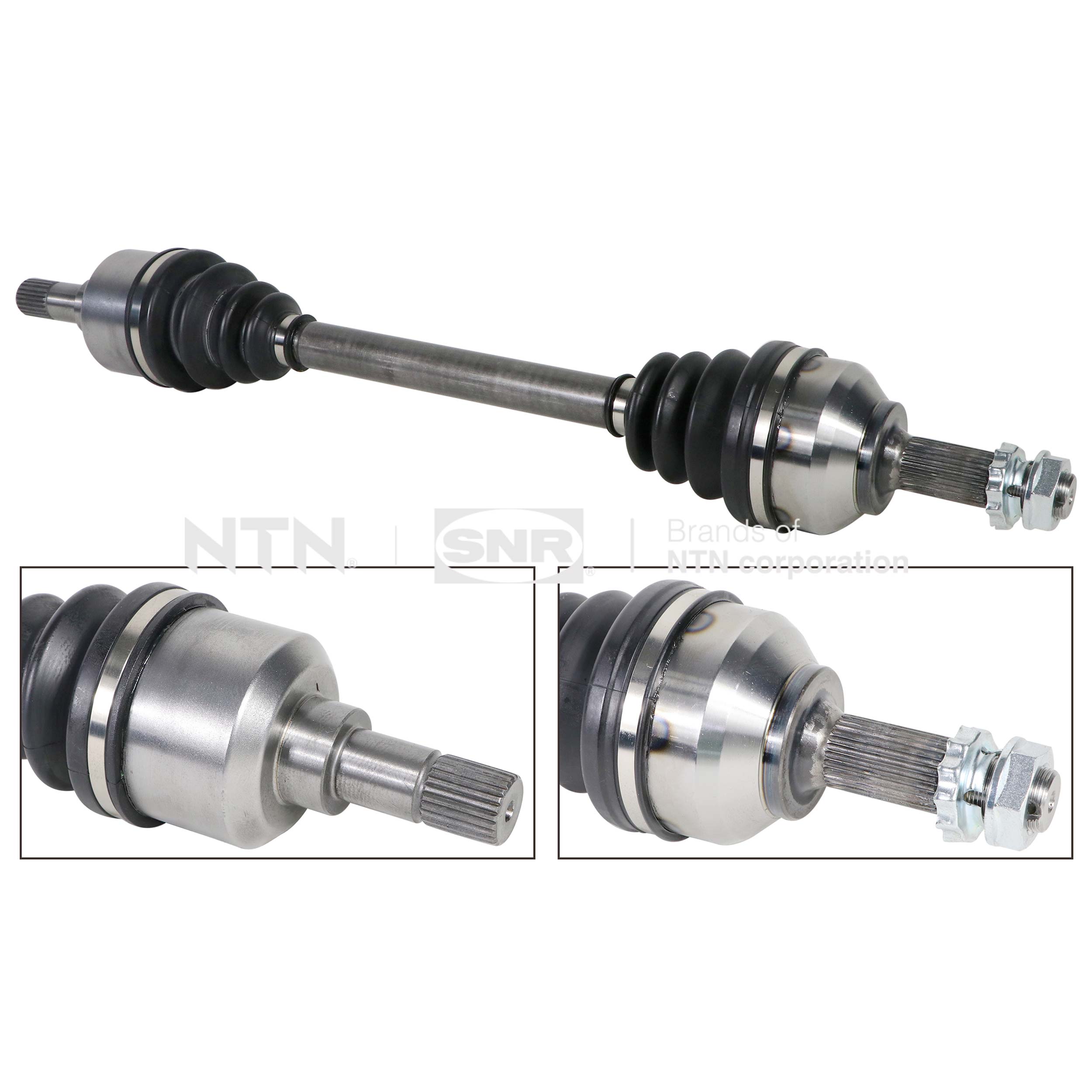 SNR DK66.037 Albero...