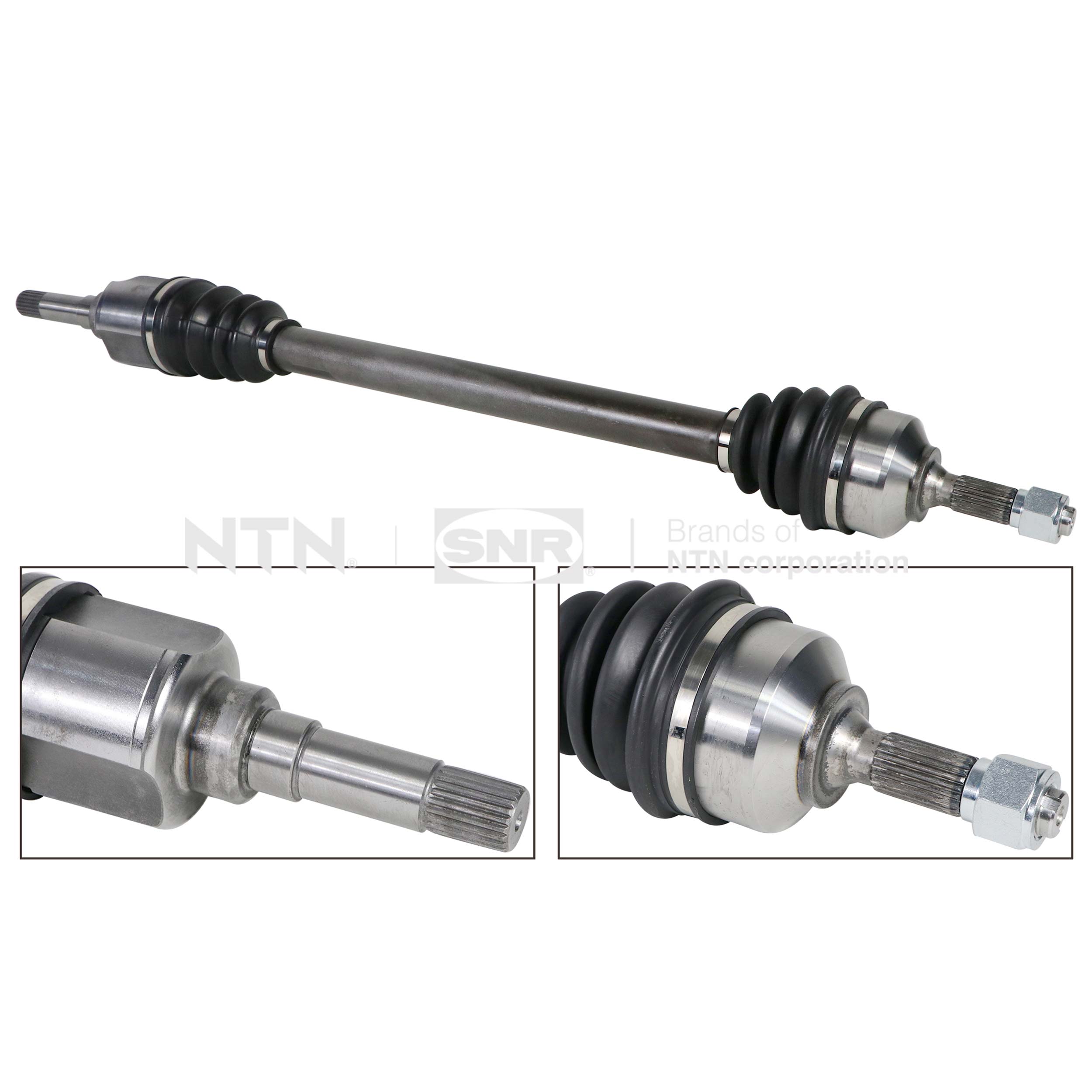 SNR DK66.038 Albero...