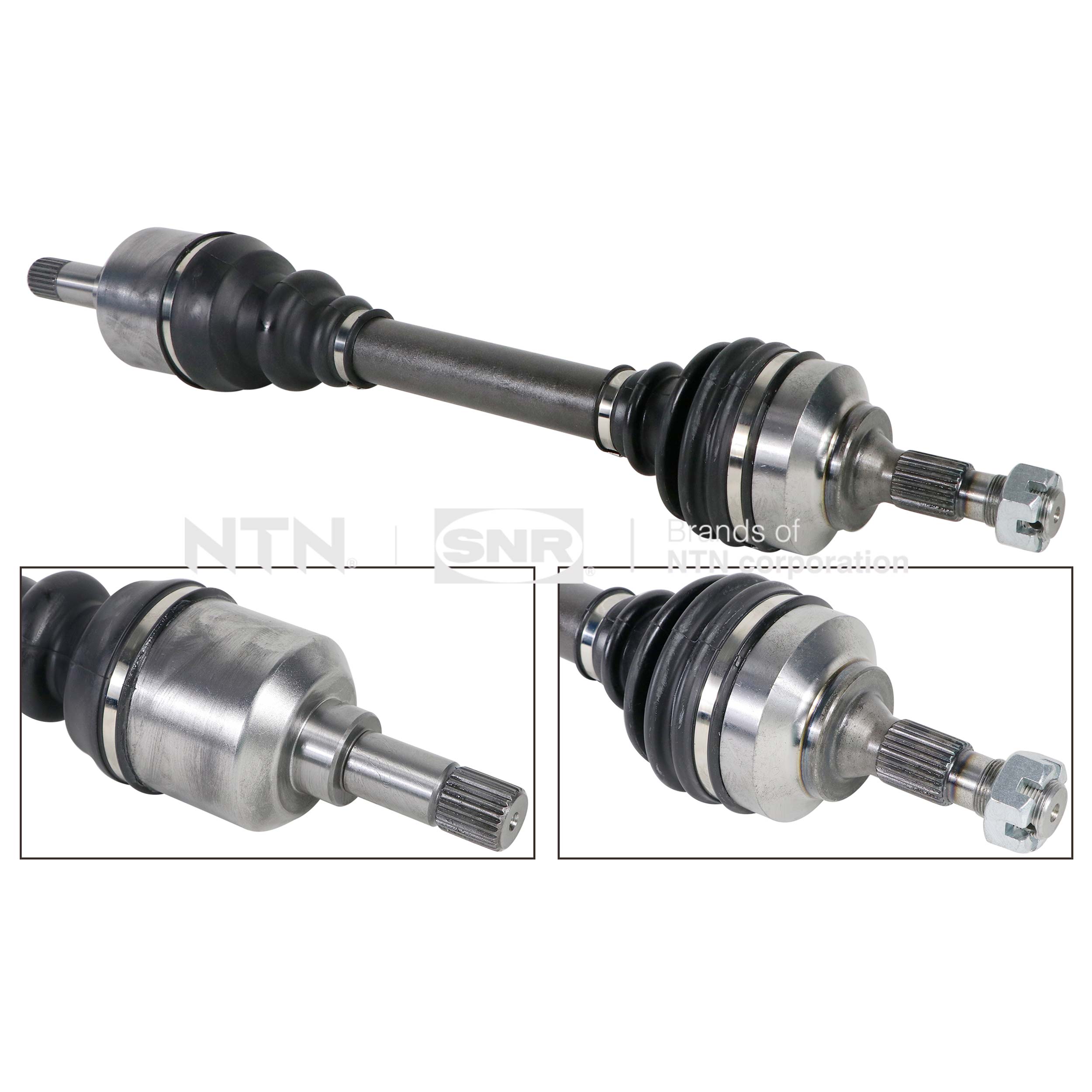 SNR DK66.039 Albero...
