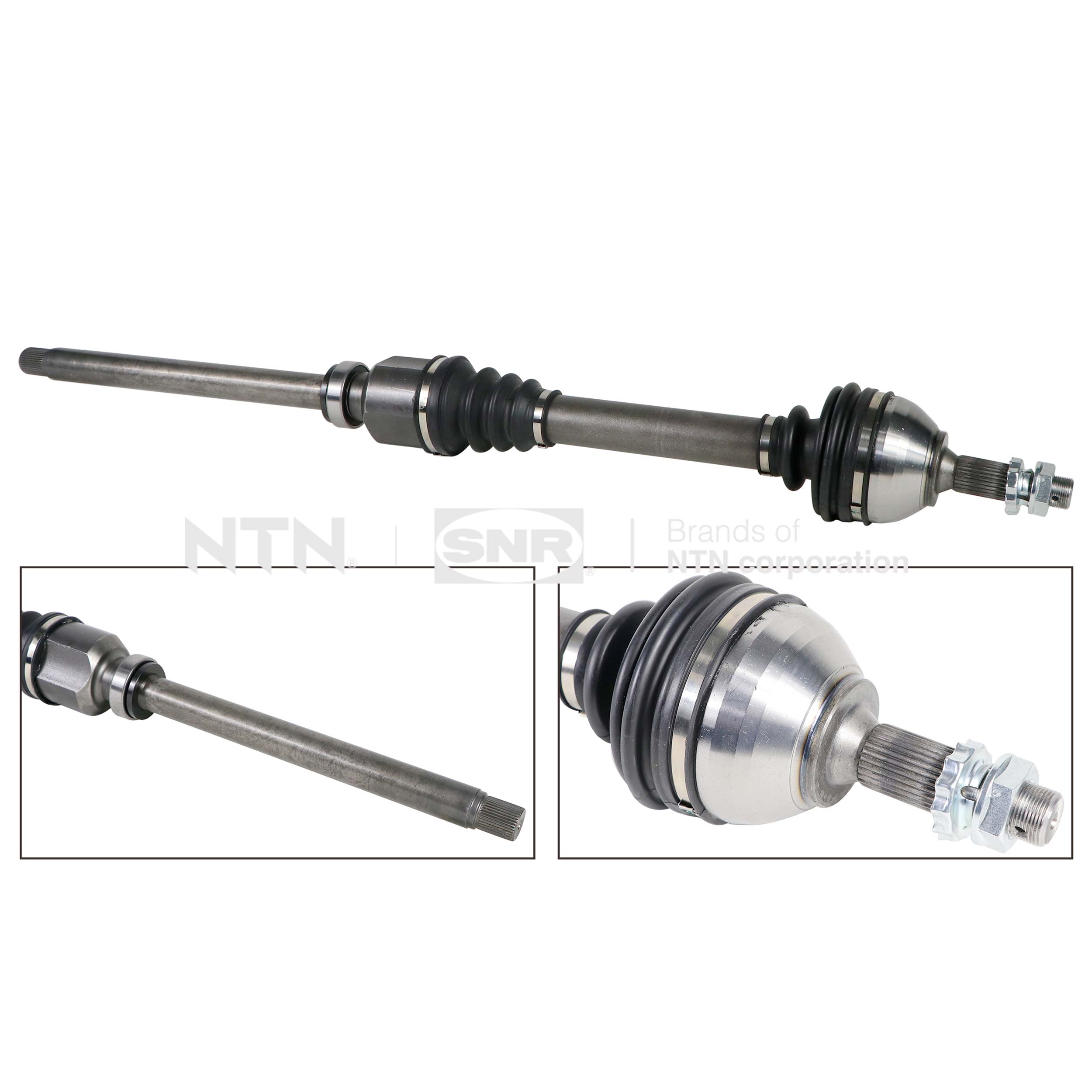 SNR DK66.041 Albero...