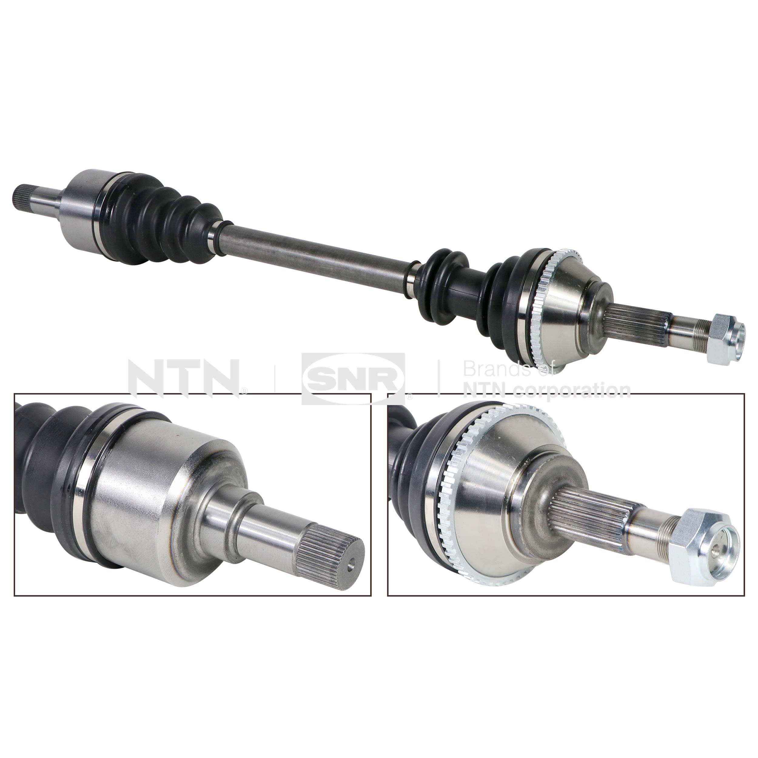 SNR DK66.043 Albero...