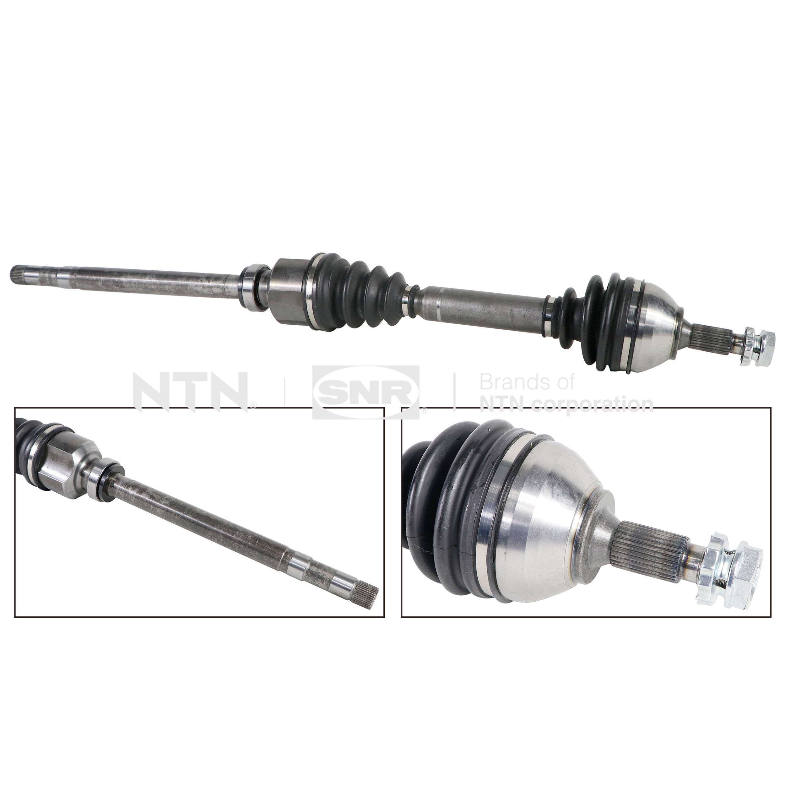 SNR DK66.044 Albero...