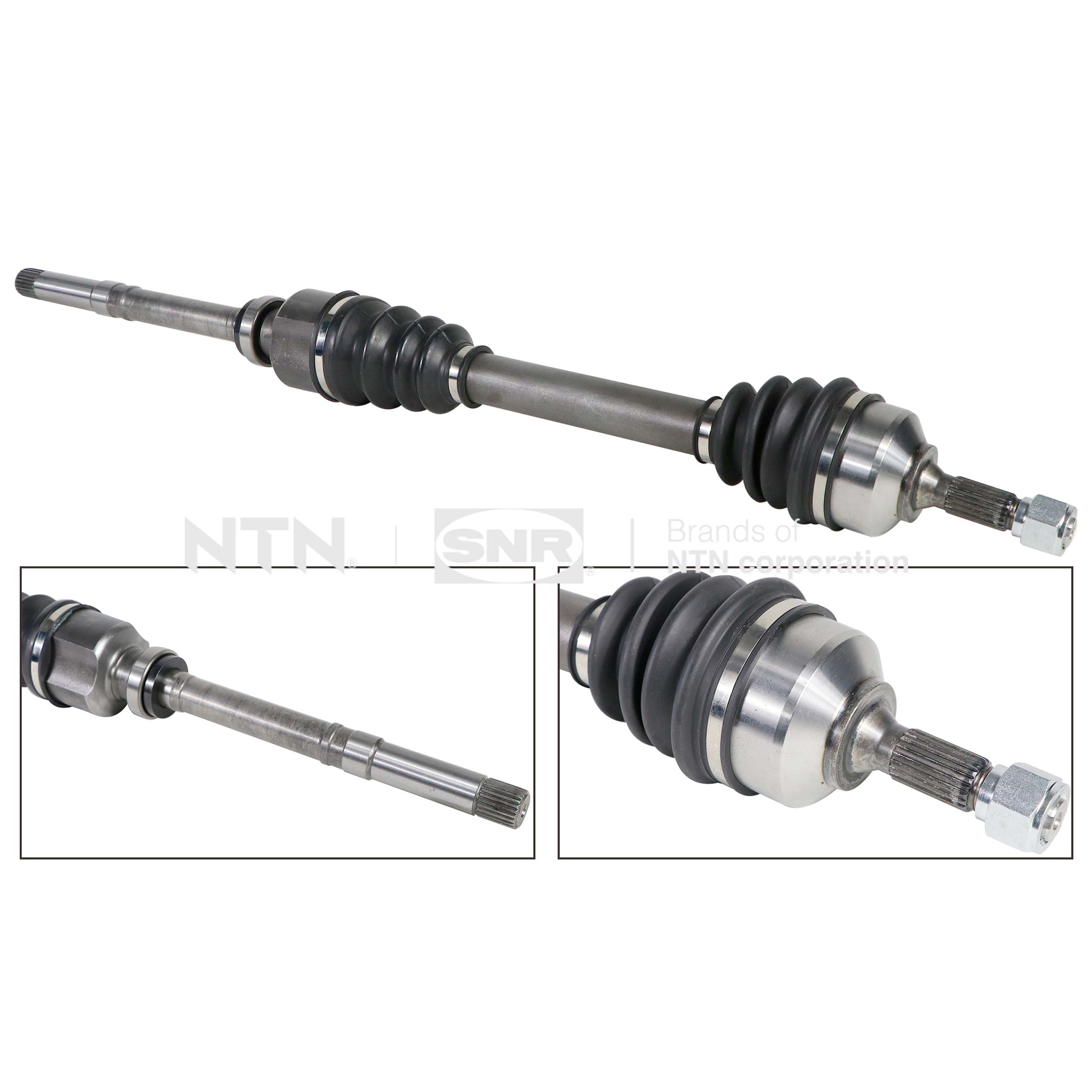 SNR DK66.045 Albero...