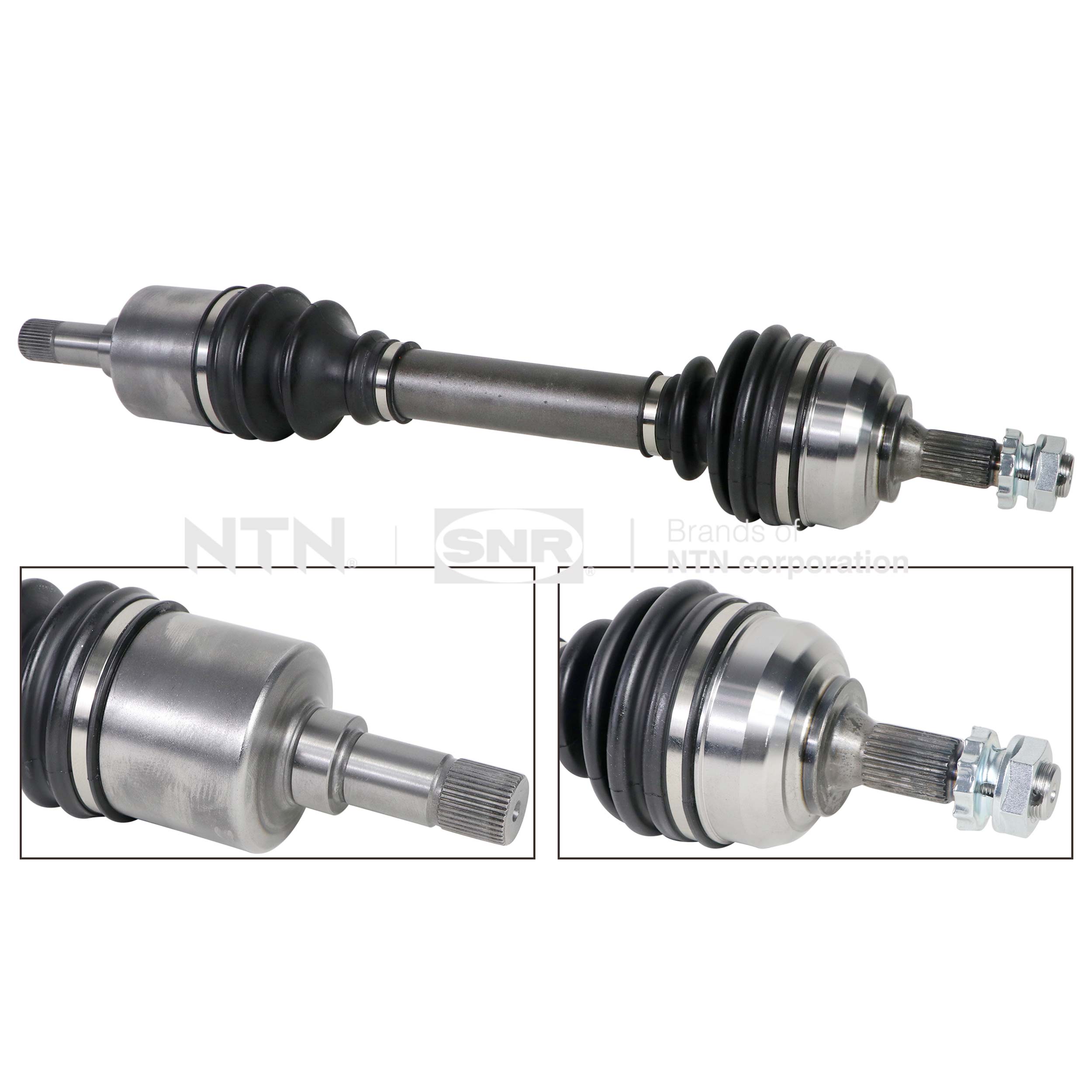 SNR DK66.046 Albero...