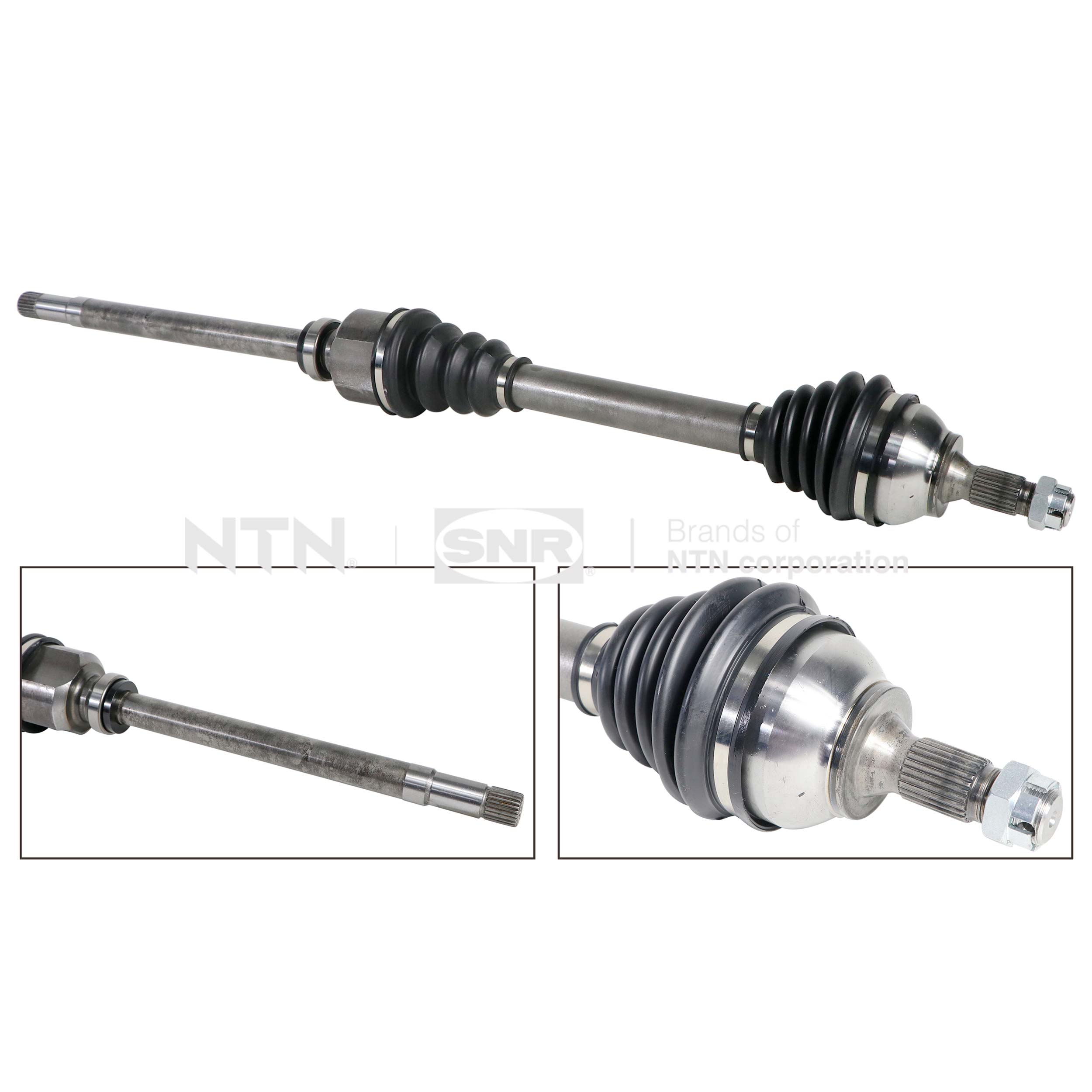 SNR DK66.047 Albero...