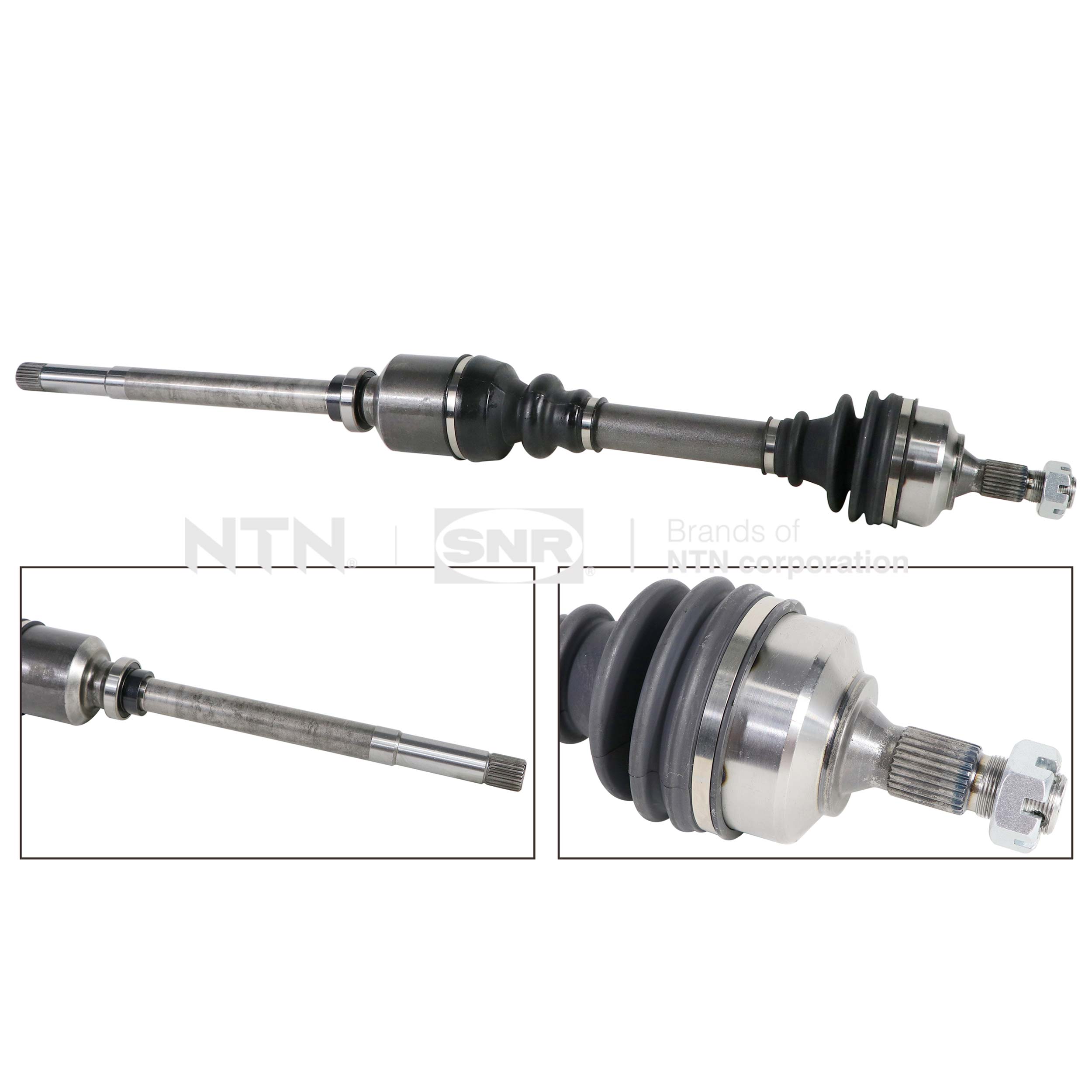 SNR DK66.048 Albero...