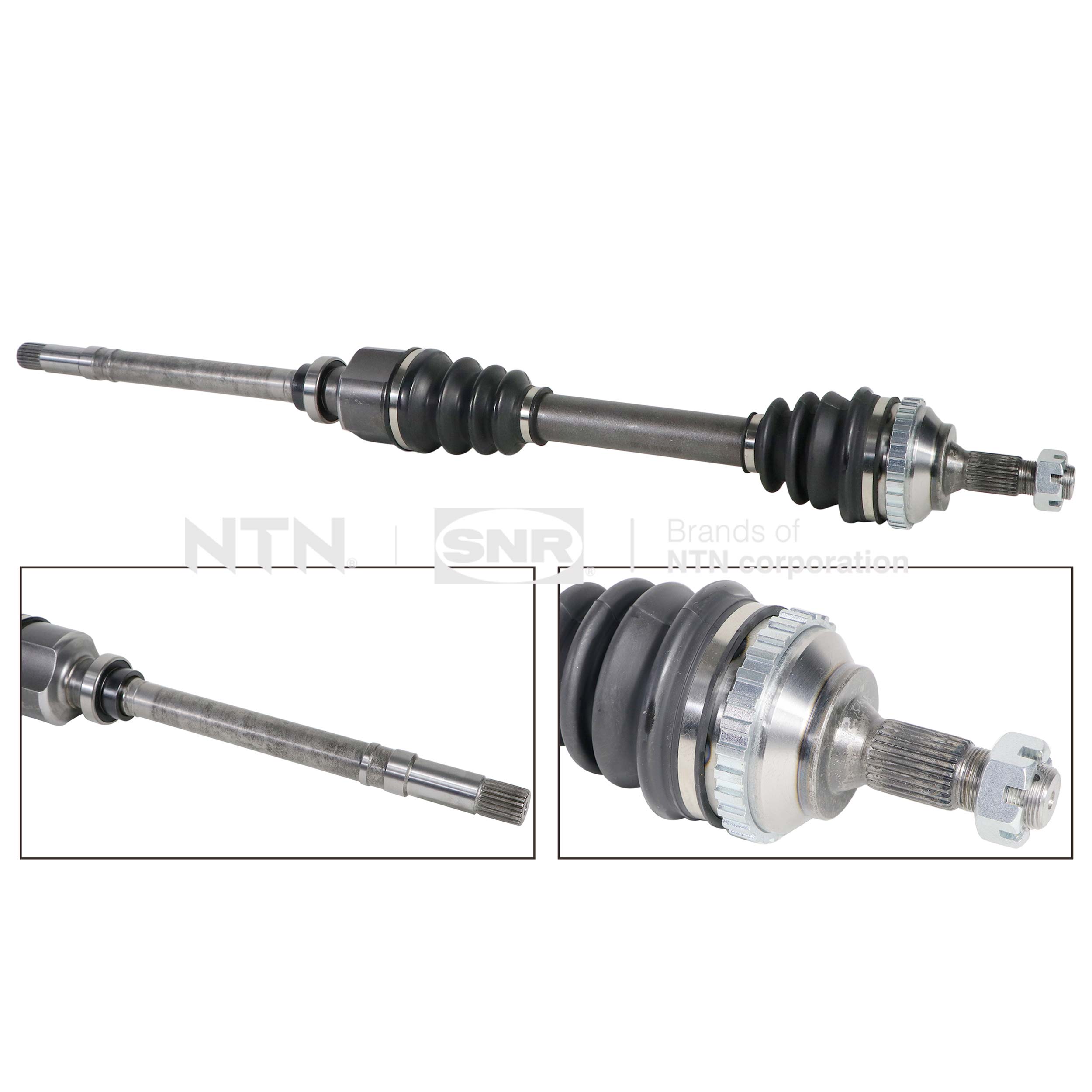 SNR DK66.049 Albero...