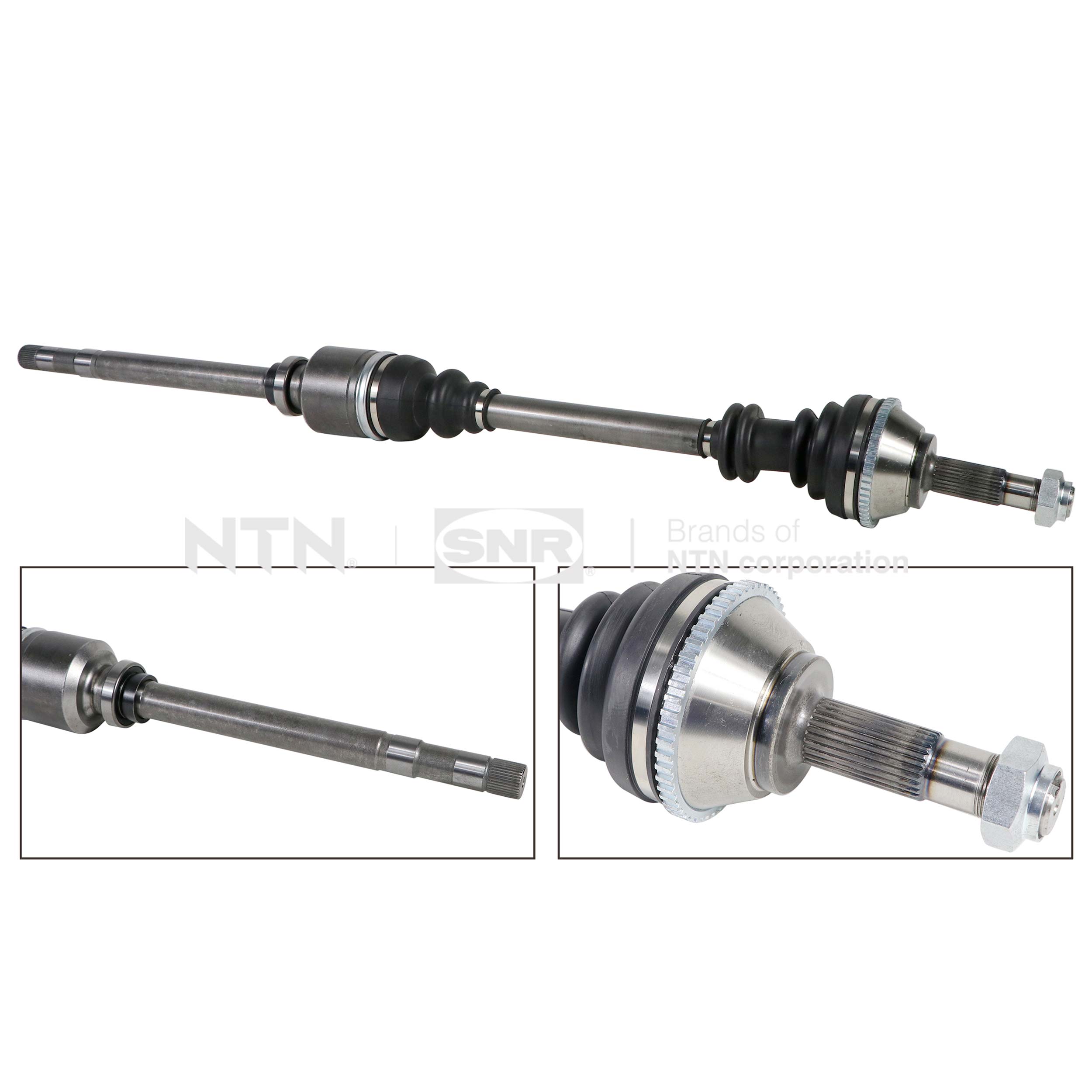 SNR DK66.052 Albero...