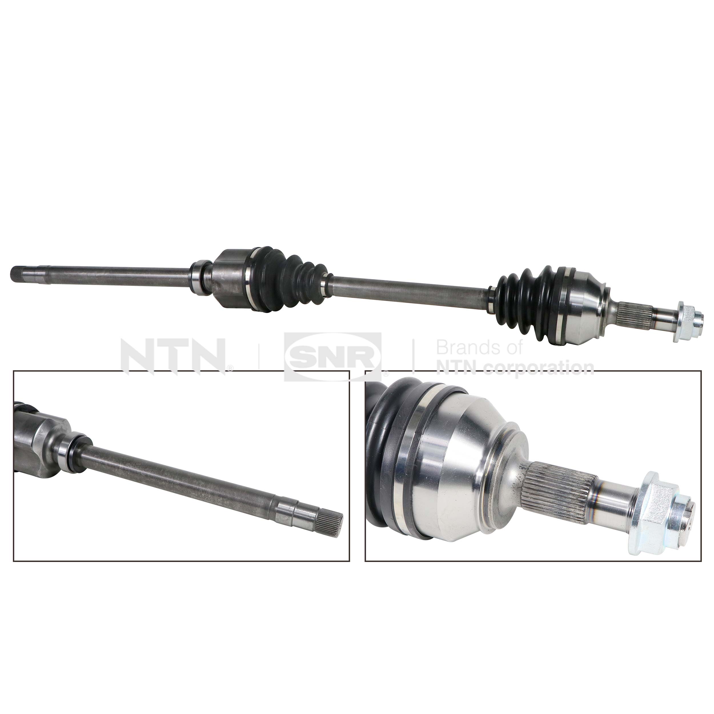 SNR DK66.054 Albero...