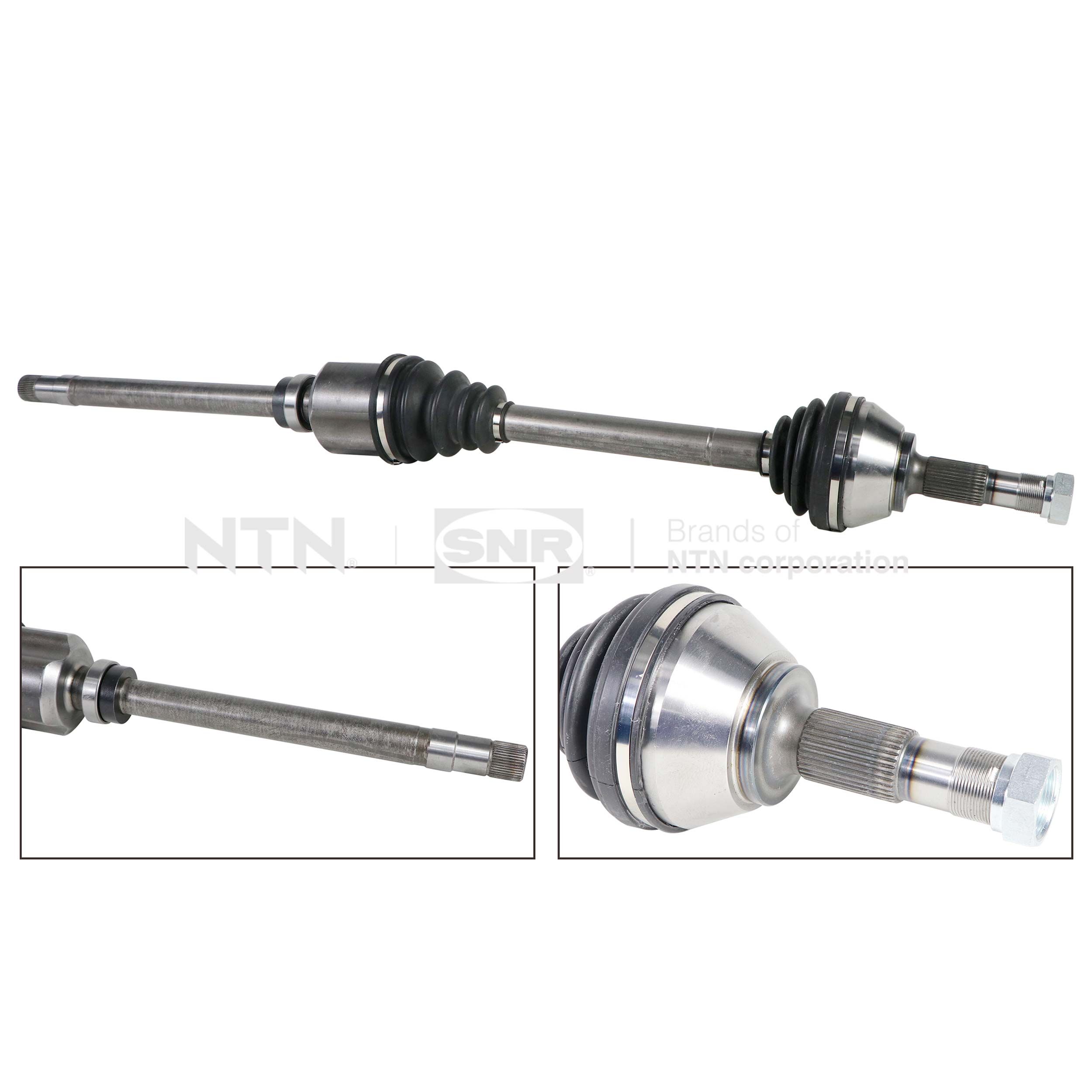 SNR DK66.055 Albero...