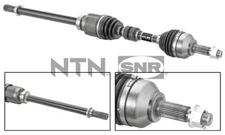 SNR DK68.013 Albero...