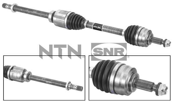 SNR DK68.021 Albero...