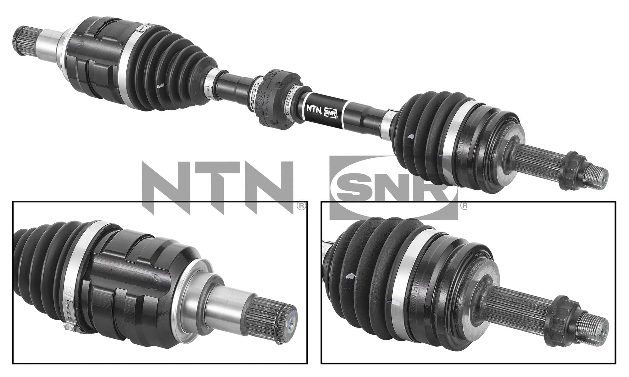 SNR DK69.007 Albero...