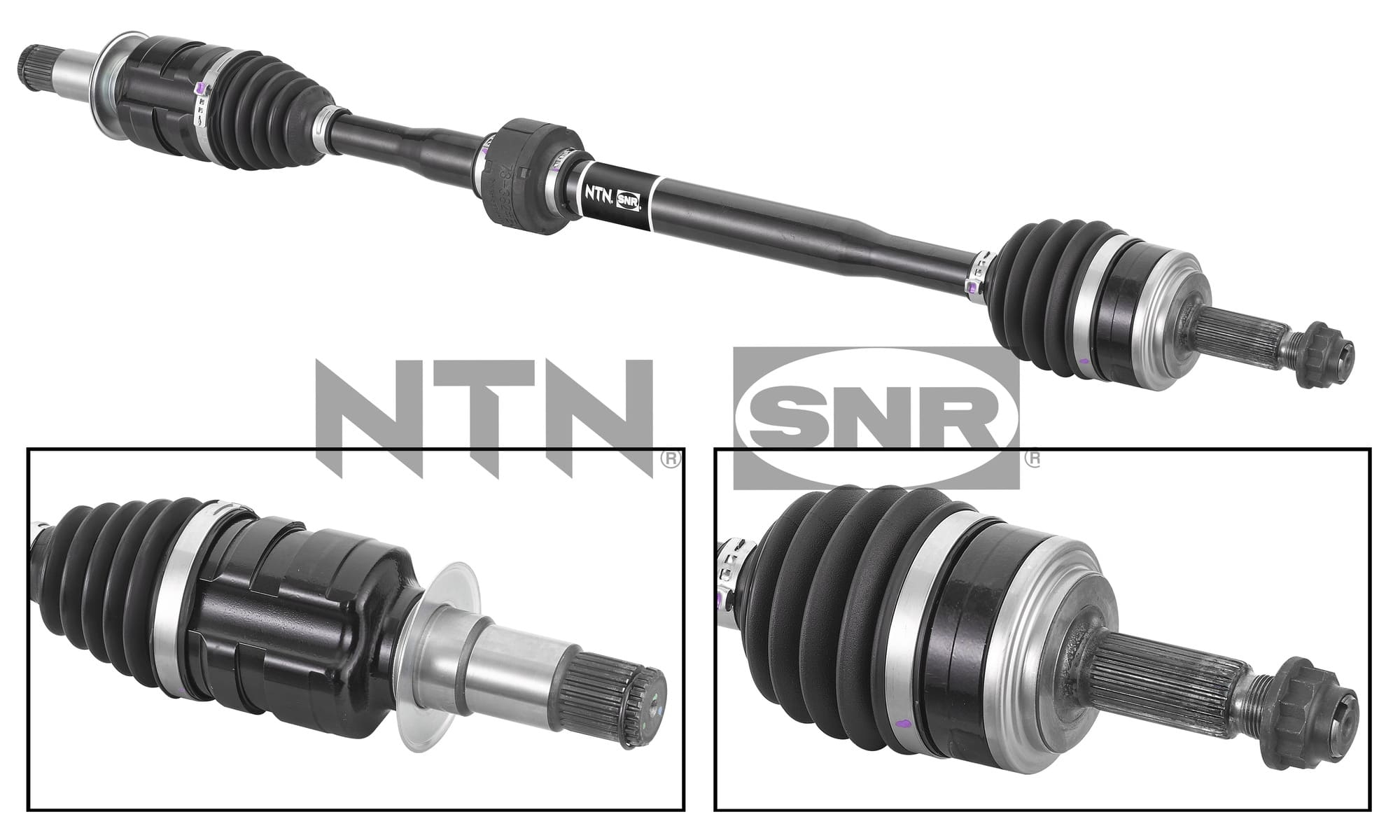 SNR DK69.008 Albero...