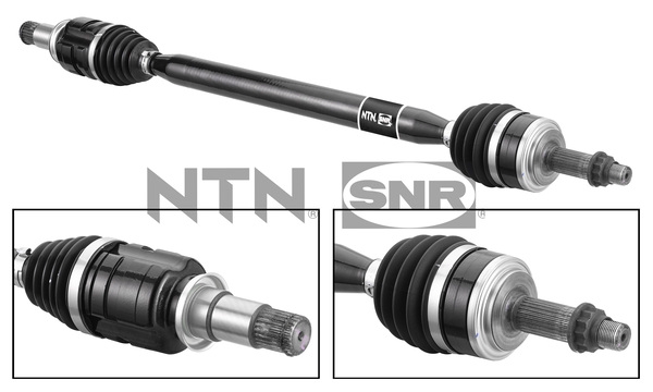 SNR DK69.011 Albero...
