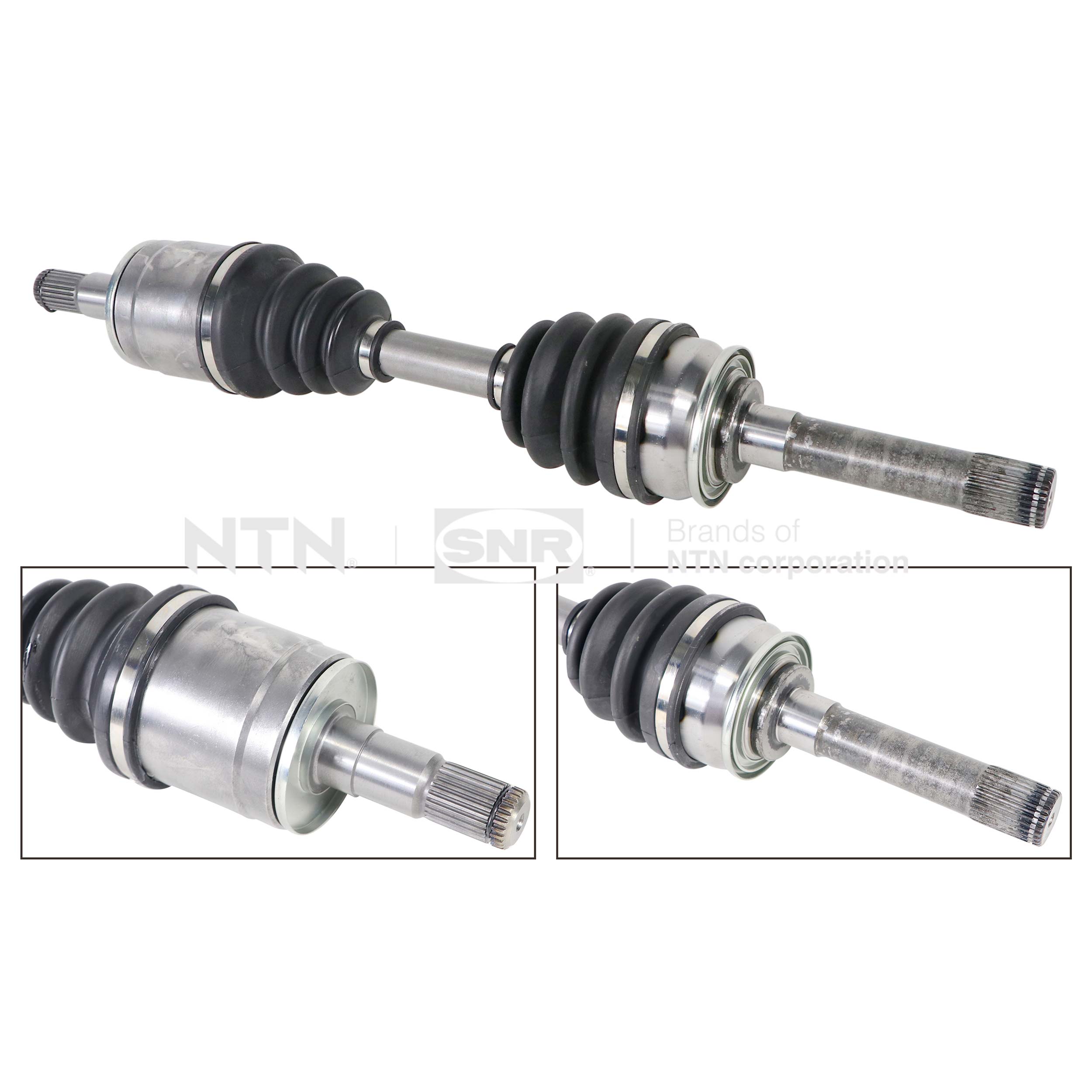 SNR DK73.001 Albero...
