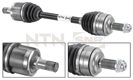SNR DK74.002 Albero...