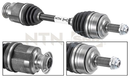 SNR DK74.003 Albero...