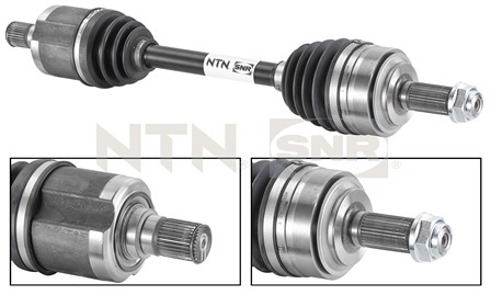 SNR DK74.004 Albero...