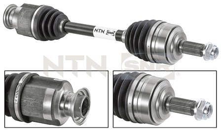 SNR DK74.005 Albero...