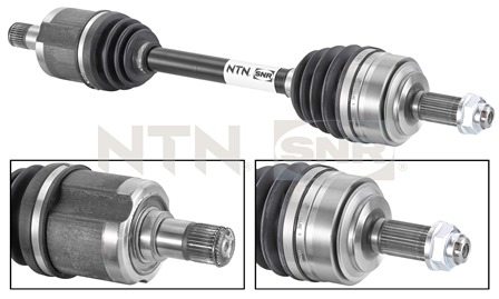 SNR DK74.006 Albero...